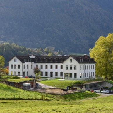2014 war für das Team der Therapiestation Carina ein sehr arbeitsintensives, aber auch überaus erfolgreiches Jahr